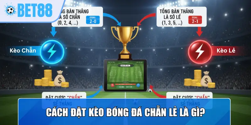 Cách đặt kèo bóng đá chẵn lẻ là gì?